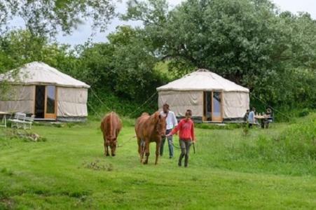 Double Room On Farm Beaugies-sous-Bois Zewnętrze zdjęcie